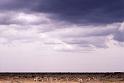 WT 1400 193-19 Kenya